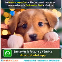 Captura-de-pantalla-2024-08-30-213559